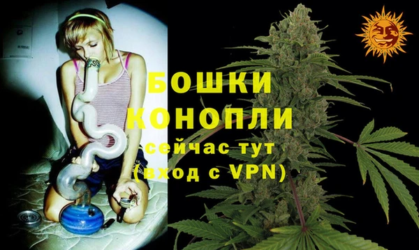 прущие крисы Костерёво