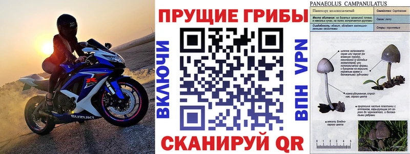hydra ссылки  Лысково  Галлюциногенные грибы прущие грибы 